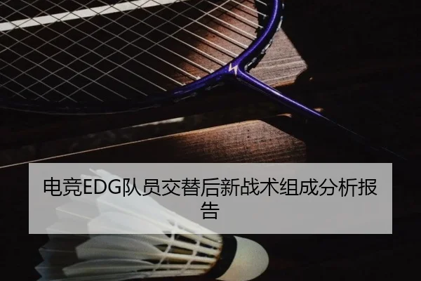 电竞EDG队员交替后新战术组成分析报告